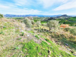 Αγροτεμάχια 6.550 τ.μ. για πώληση, Αργολίδα, Ασίνη-thumb-16