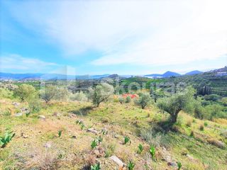 Αγροτεμάχια 6.550 τ.μ. για πώληση, Αργολίδα, Ασίνη-thumb-9