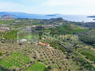 Αγροτεμάχια 6.550 τ.μ. για πώληση, Αργολίδα, Ασίνη-thumb-22