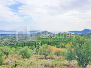 Αγροτεμάχια 6.550 τ.μ. για πώληση, Αργολίδα, Ασίνη-thumb-2