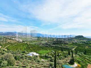 Αγροτεμάχια 6.550 τ.μ. για πώληση, Αργολίδα, Ασίνη-thumb-4