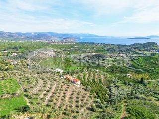 Αγροτεμάχια 6.550 τ.μ. για πώληση, Αργολίδα, Ασίνη-thumb-3