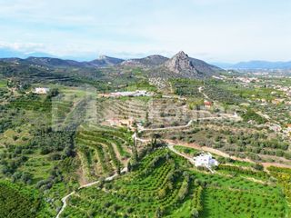 Αγροτεμάχια 6.550 τ.μ. για πώληση, Αργολίδα, Ασίνη-thumb-8