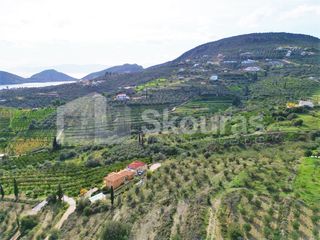 Αγροτεμάχια 6.550 τ.μ. για πώληση, Αργολίδα, Ασίνη-thumb-20