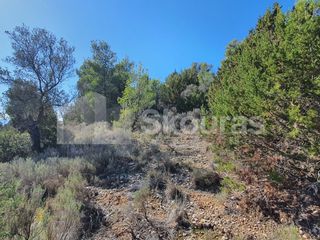 Οικόπεδο 783 τ.μ. για πώληση, Αργολίδα, Κρανίδι-thumb-7