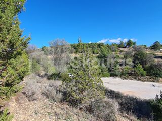 Οικόπεδο 783 τ.μ. για πώληση, Αργολίδα, Κρανίδι-thumb-10