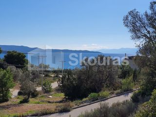 Οικόπεδο 783 τ.μ. για πώληση, Αργολίδα, Κρανίδι-thumb-11