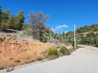 Οικόπεδο 783 τ.μ. για πώληση, Αργολίδα, Κρανίδι-thumb-5