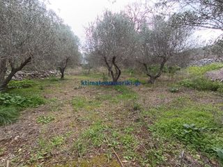 Οικόπεδο 988 τ.μ. για πώληση, Ν. Χανίων, Βάμος-thumb-3