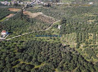 Οικόπεδο 3.904 τ.μ. για πώληση, Ν. Χανίων, Βάμος-thumb-3