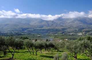 Οικόπεδο 3.904 τ.μ. για πώληση