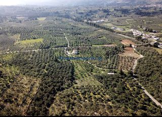 Οικόπεδο 3.904 τ.μ. για πώληση, Ν. Χανίων, Βάμος-thumb-2