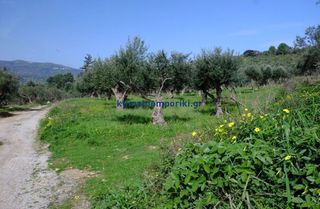 Οικόπεδο 3.904 τ.μ. για πώληση, Ν. Χανίων, Βάμος-thumb-1