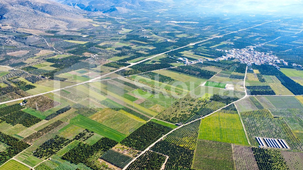 Αγροτεμάχια 13.163 τ.μ. προς πώληση, Νέο Ηραίο