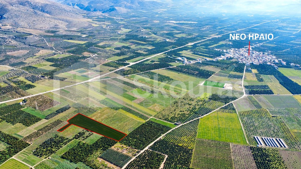 Αγροτεμάχια 13.163 τ.μ. προς πώληση, Νέο Ηραίο