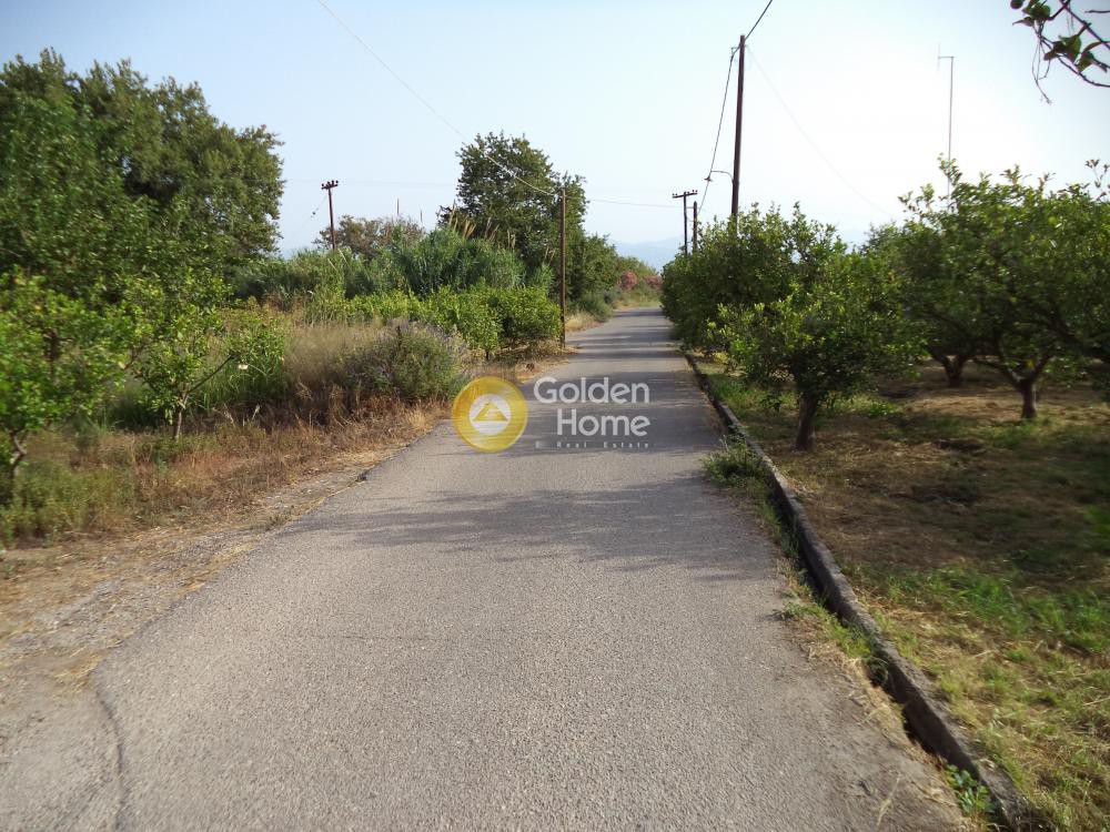 Οικόπεδο 1.085 τ.μ. προς πώληση, Αχαΐα, Διακοπτό