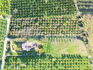 Μονοκατοικία 300 τ.μ. για πώληση, Αργολίδα, Ναύπλιο-thumb-24