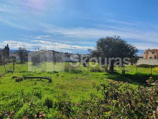 Οικόπεδο 304 τ.μ. για πώληση, Αργολίδα, Κρανίδι-thumb-2