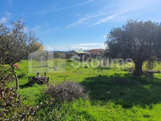Οικόπεδο 304 τ.μ. για πώληση, Αργολίδα, Κρανίδι-thumb-12