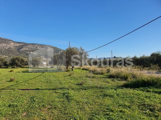 Αγροτεμάχια 9.500 τ.μ. για πώληση, Αργολίδα, Ερμιόνη-thumb-7