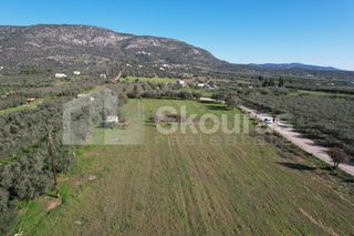 Αγροτεμάχια 9.500 τ.μ. για πώληση, Αργολίδα, Ερμιόνη-thumb-3