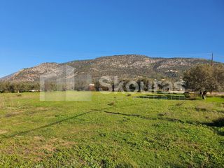 Αγροτεμάχια 9.500 τ.μ. για πώληση, Αργολίδα, Ερμιόνη-thumb-23
