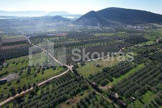 Αγροτεμάχια 9.500 τ.μ. για πώληση, Αργολίδα, Ερμιόνη-thumb-14