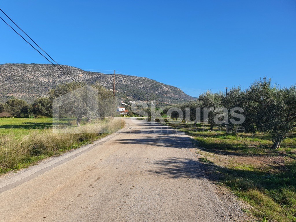 Parcel 9.500 sqm for sale, Ermioni