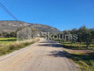 Αγροτεμάχια 9.500 τ.μ. για πώληση, Αργολίδα, Ερμιόνη-thumb-4