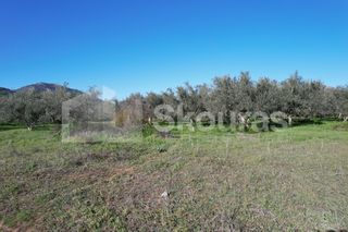 Αγροτεμάχια 9.500 τ.μ. για πώληση, Αργολίδα, Ερμιόνη-thumb-16