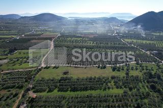Αγροτεμάχια 9.500 τ.μ. για πώληση, Αργολίδα, Ερμιόνη-thumb-10