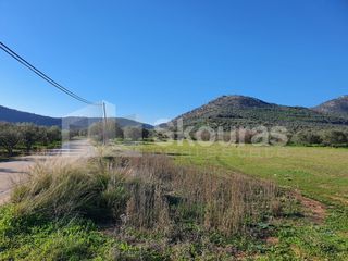 Αγροτεμάχια 9.500 τ.μ. για πώληση, Αργολίδα, Ερμιόνη-thumb-5