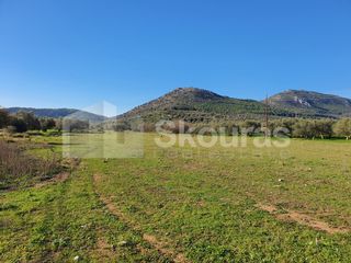 Αγροτεμάχια 9.500 τ.μ. για πώληση, Αργολίδα, Ερμιόνη-thumb-8