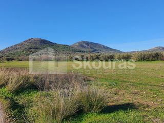 Αγροτεμάχια 9.500 τ.μ. για πώληση, Αργολίδα, Ερμιόνη-thumb-21