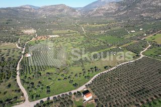 Αγροτεμάχια 9.500 τ.μ. για πώληση, Αργολίδα, Ερμιόνη-thumb-12