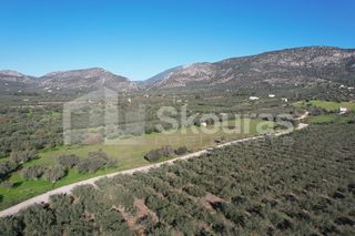 Αγροτεμάχια 9.500 τ.μ. για πώληση, Αργολίδα, Ερμιόνη-thumb-20