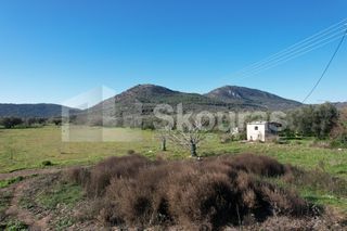Αγροτεμάχια 9.500 τ.μ. για πώληση, Αργολίδα, Ερμιόνη-thumb-17
