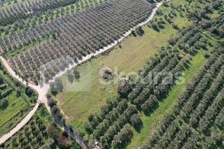 Αγροτεμάχια 9.500 τ.μ. για πώληση, Αργολίδα, Ερμιόνη-thumb-9