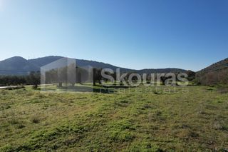 Αγροτεμάχια 9.500 τ.μ. για πώληση, Αργολίδα, Ερμιόνη-thumb-24