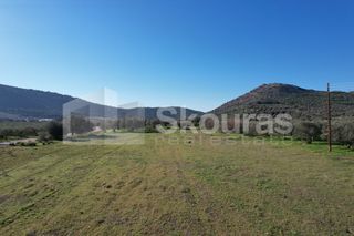 Αγροτεμάχια 9.500 τ.μ. για πώληση, Αργολίδα, Ερμιόνη-thumb-18