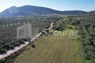 Αγροτεμάχια 9.500 τ.μ. για πώληση, Αργολίδα, Ερμιόνη-thumb-2