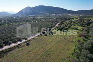 Αγροτεμάχια 9.500 τ.μ. για πώληση, Αργολίδα, Ερμιόνη-thumb-15