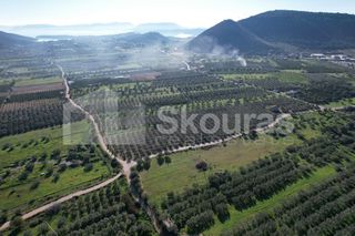 Αγροτεμάχια 9.500 τ.μ. για πώληση, Αργολίδα, Ερμιόνη-thumb-1