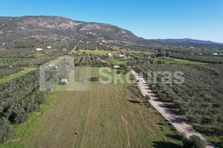 Αγροτεμάχια 9.500 τ.μ. για πώληση, Αργολίδα, Ερμιόνη-thumb-19