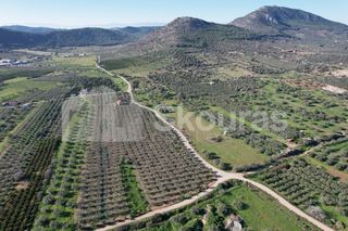 Αγροτεμάχια 9.500 τ.μ. για πώληση, Αργολίδα, Ερμιόνη-thumb-13
