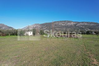 Αγροτεμάχια 9.500 τ.μ. για πώληση, Αργολίδα, Ερμιόνη-thumb-6