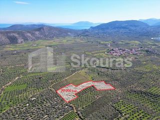 Αγροτεμάχια 20.000 τ.μ. για πώληση, Αργολίδα, Επίδαυρος-thumb-17