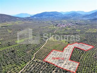 Αγροτεμάχια 20.000 τ.μ. για πώληση, Αργολίδα, Επίδαυρος-thumb-7
