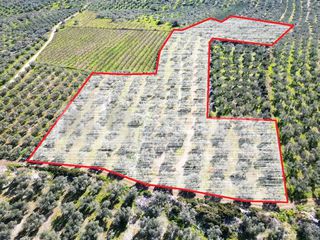 Αγροτεμάχια 20.000 τ.μ. για πώληση, Αργολίδα, Επίδαυρος-thumb-11