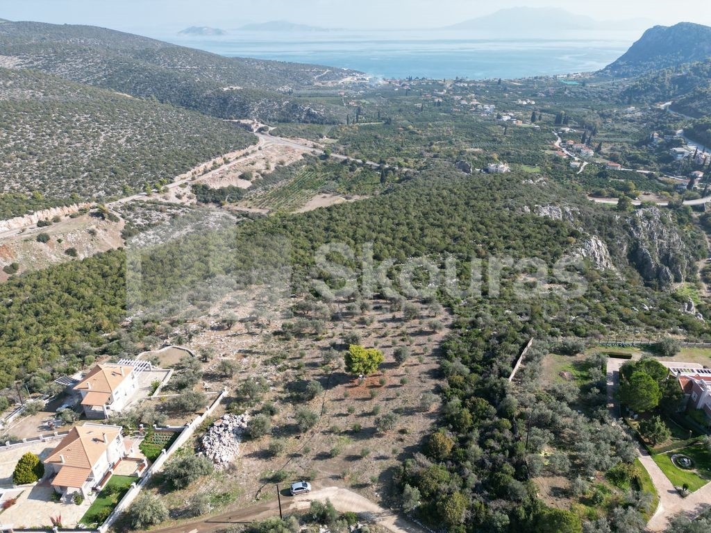 Αγροτεμάχια 4.500 τ.μ. προς πώληση, Νέα Επίδαυρος